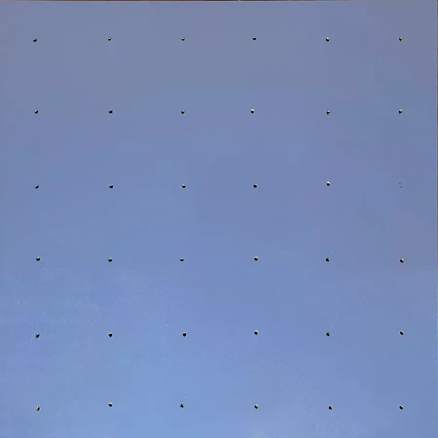 Evolution Panel