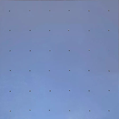 Evolution Panel